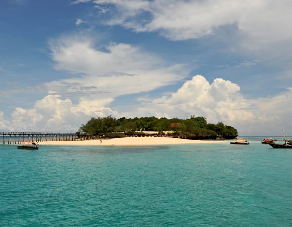 Zanzibar Vacation in Prison Island Tour Day Trip