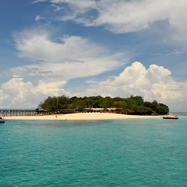 Zanzibar Vacation in Prison Island Tour Day Trip