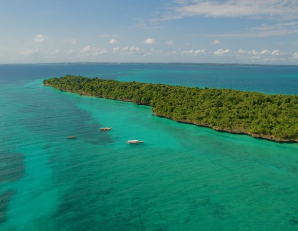 Zanzibar Safari to Chumbe Island Day Trip