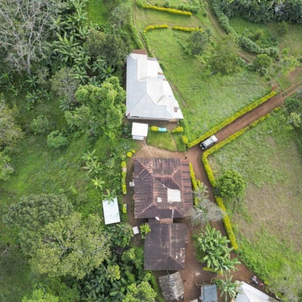 Materuni Village, Waterfall and Coffee Tour Day Trip