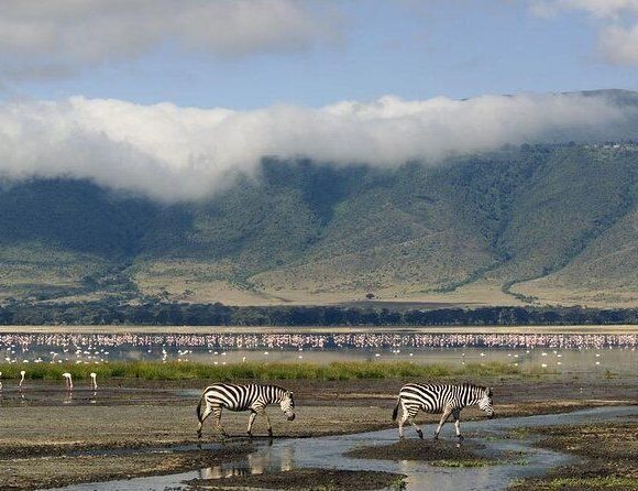 2-Day Safari to Lake Manyara and Ngorongoro