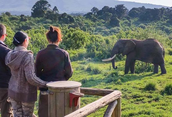 7 Days Tanzania Family Safari