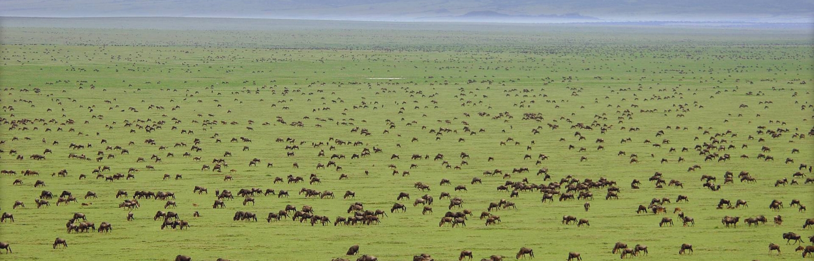 Serengeti National Park