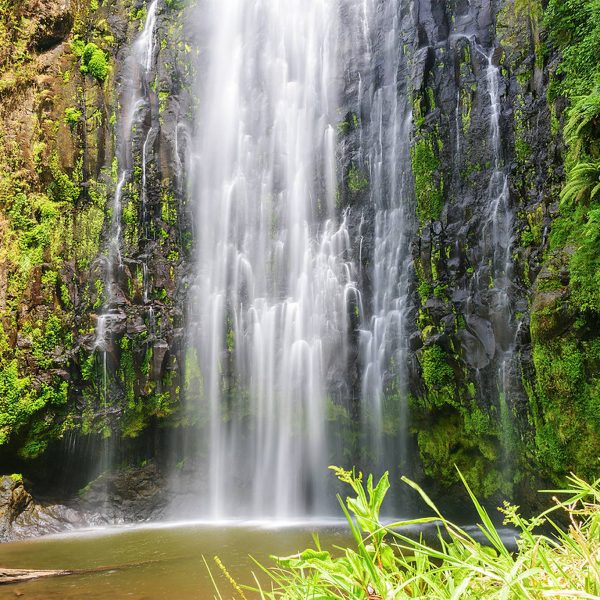 Day Trip – Materuni Waterfalls & Coffee Tour
